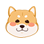 呵呵哒的头像